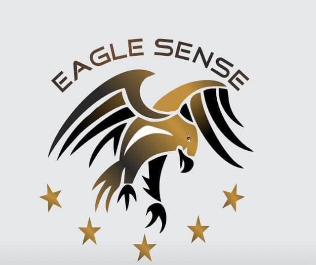 Eagle Sense Nigeria Limited